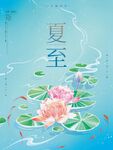 夏至时节荷花绽放