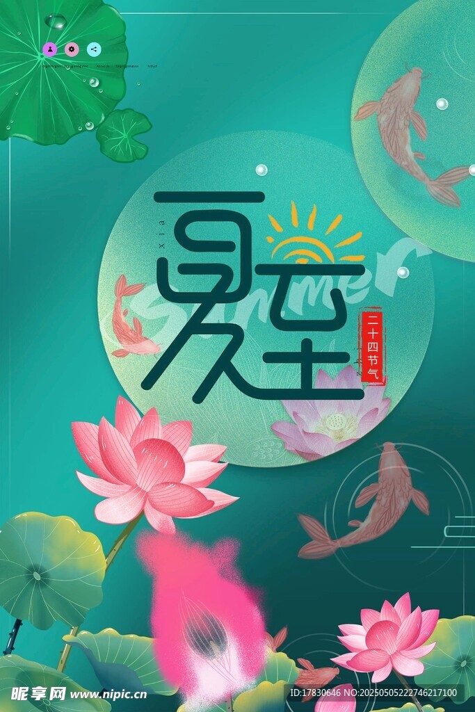 夏日荷趣图