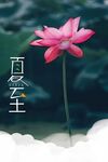 粉色荷花特写