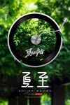 夏至时节自行车轮中的绿意