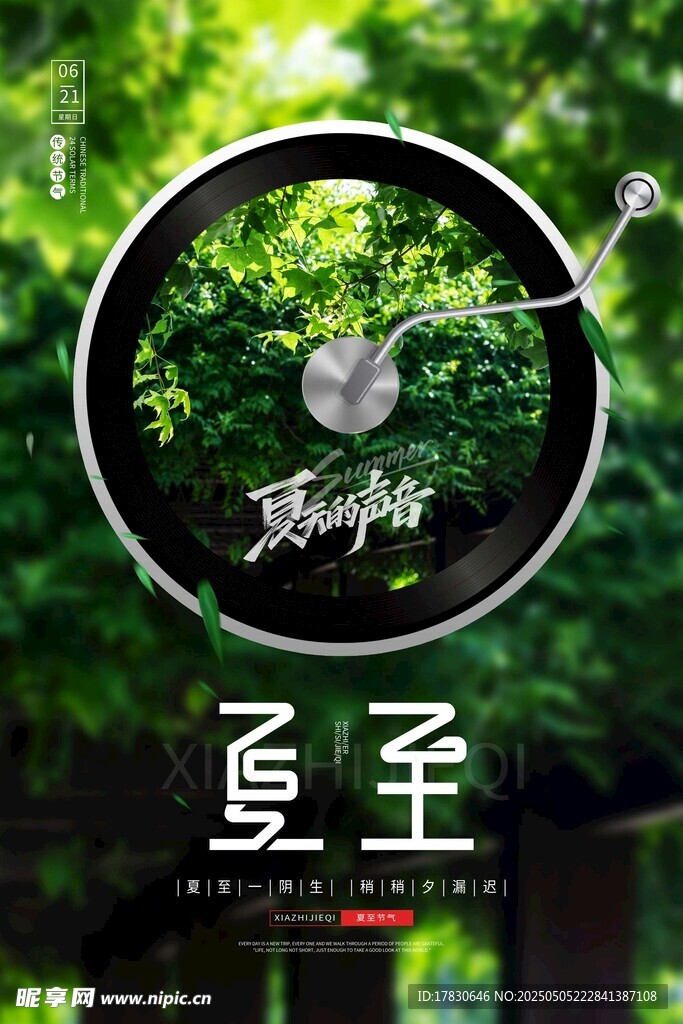 夏至时节自行车轮中的绿意