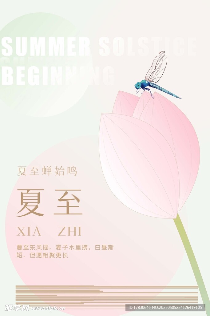 夏至时节蜻蜓立荷海报