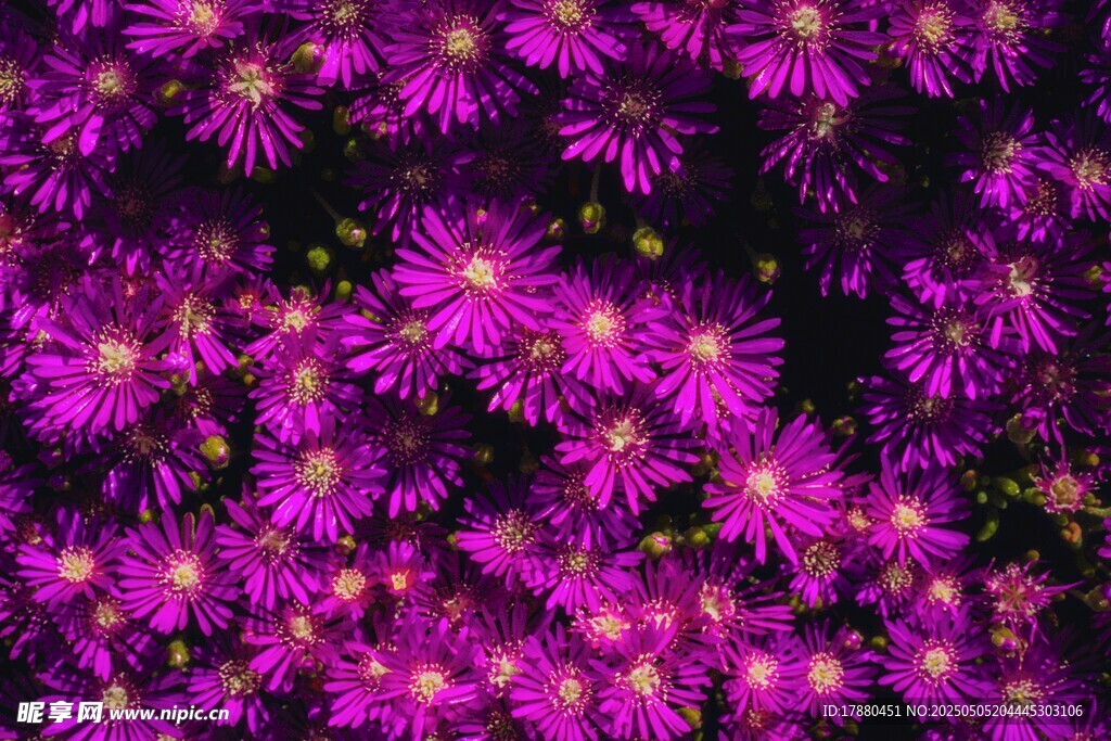 繁花