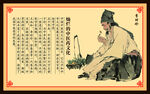中医海报