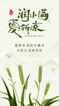 小满
