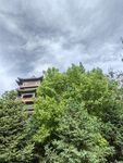 绿树掩映中的古朴楼阁