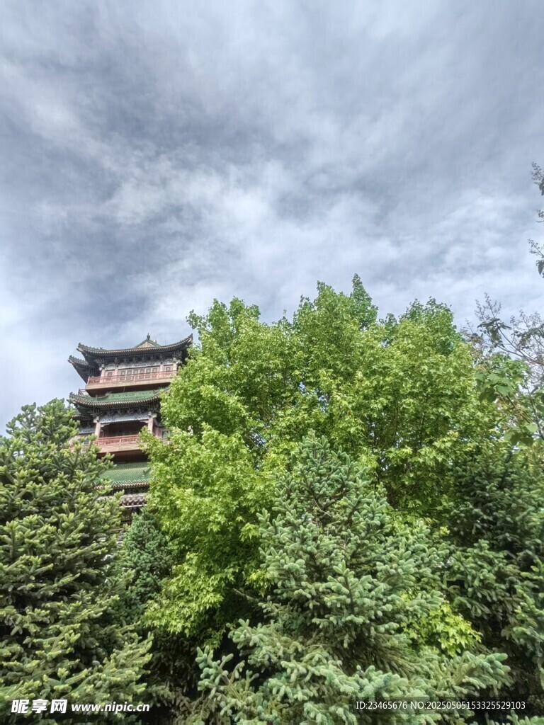 绿树掩映中的古朴楼阁