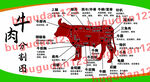 牛肉分割示意图