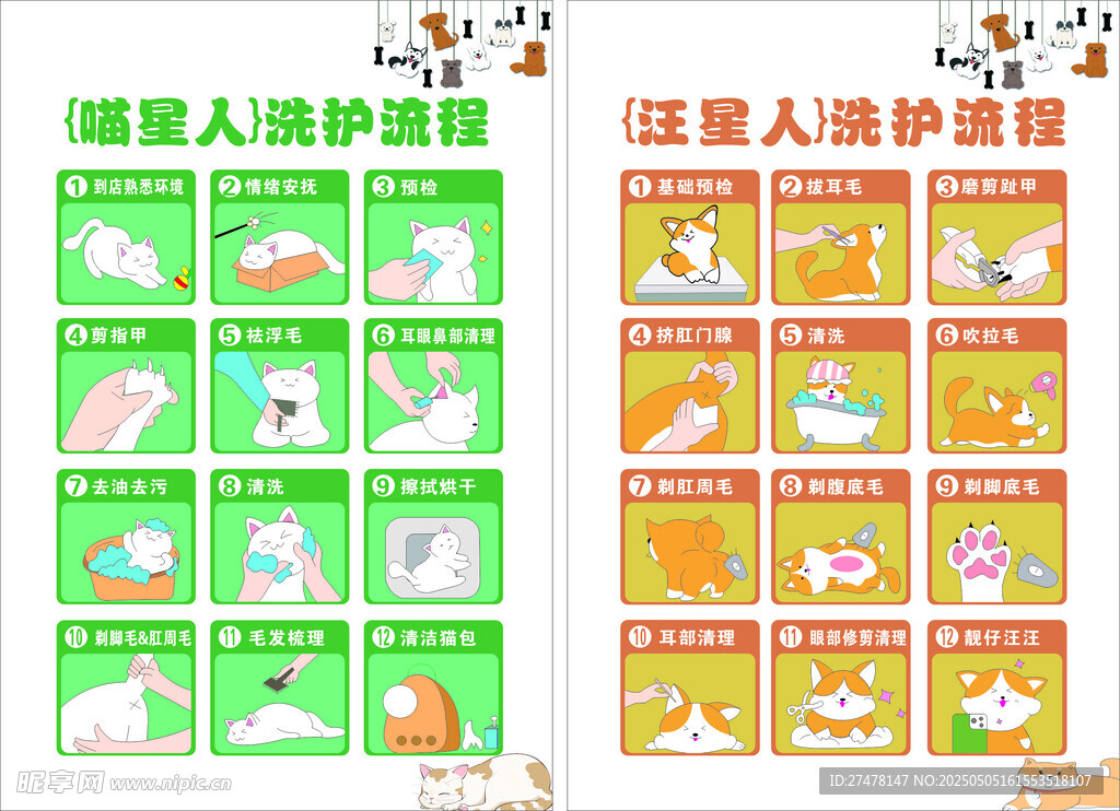 猫狗洗护流程