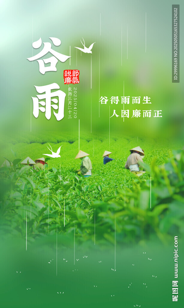 谷雨时节绿意盎然的景象