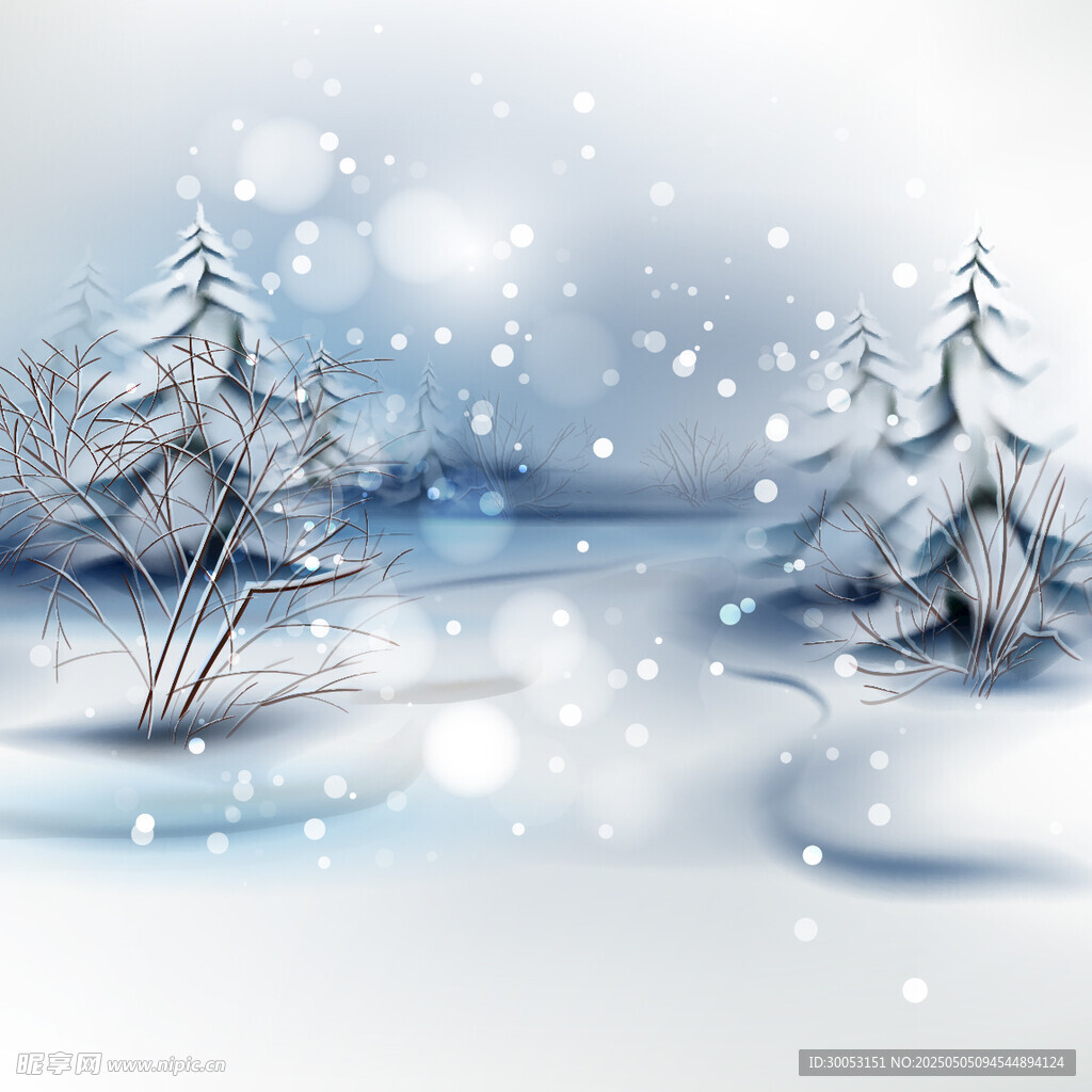 冬日雪景中的静谧树林