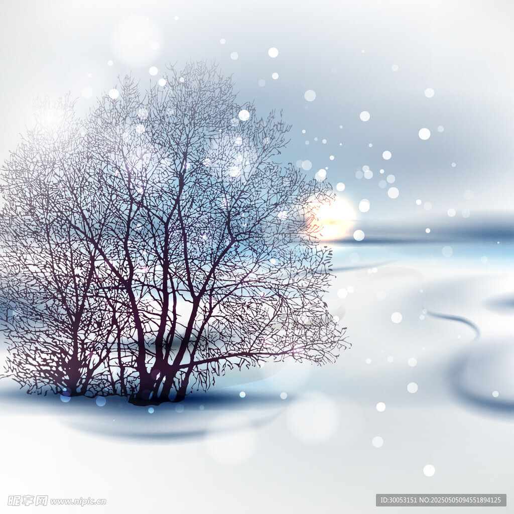 冬日雪景中的孤树与暖阳