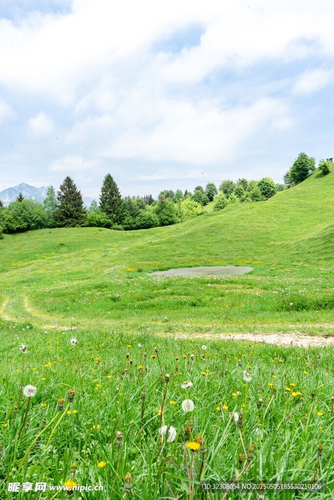 绿野繁花的自然美景