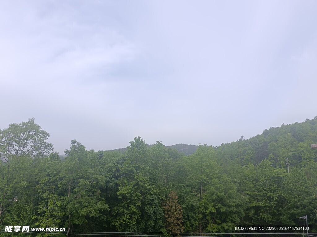 山林