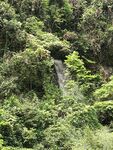  山林