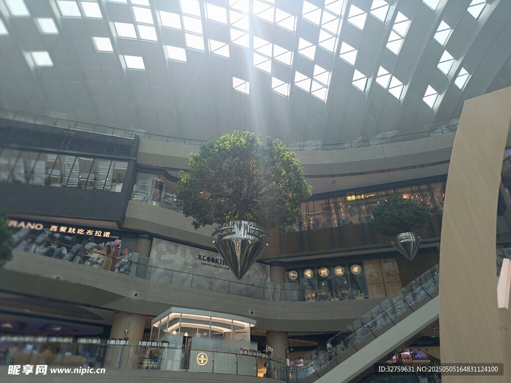 绿植
