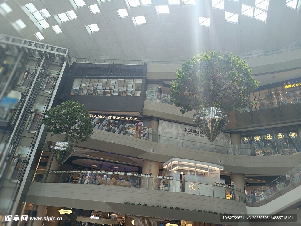 绿植