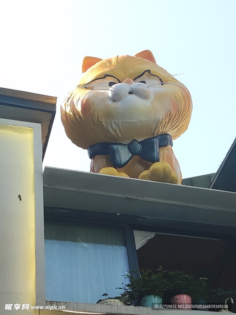 猫咪