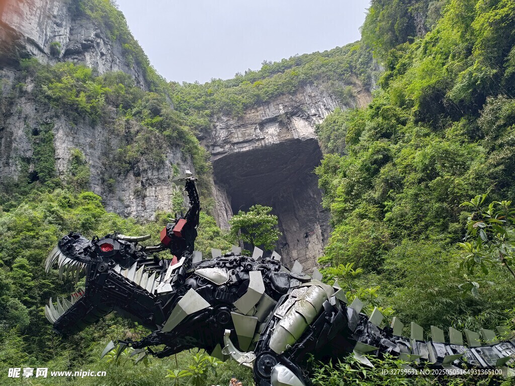 绿植