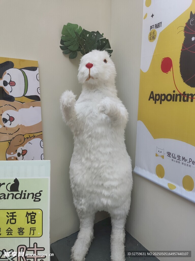 兔子玩偶