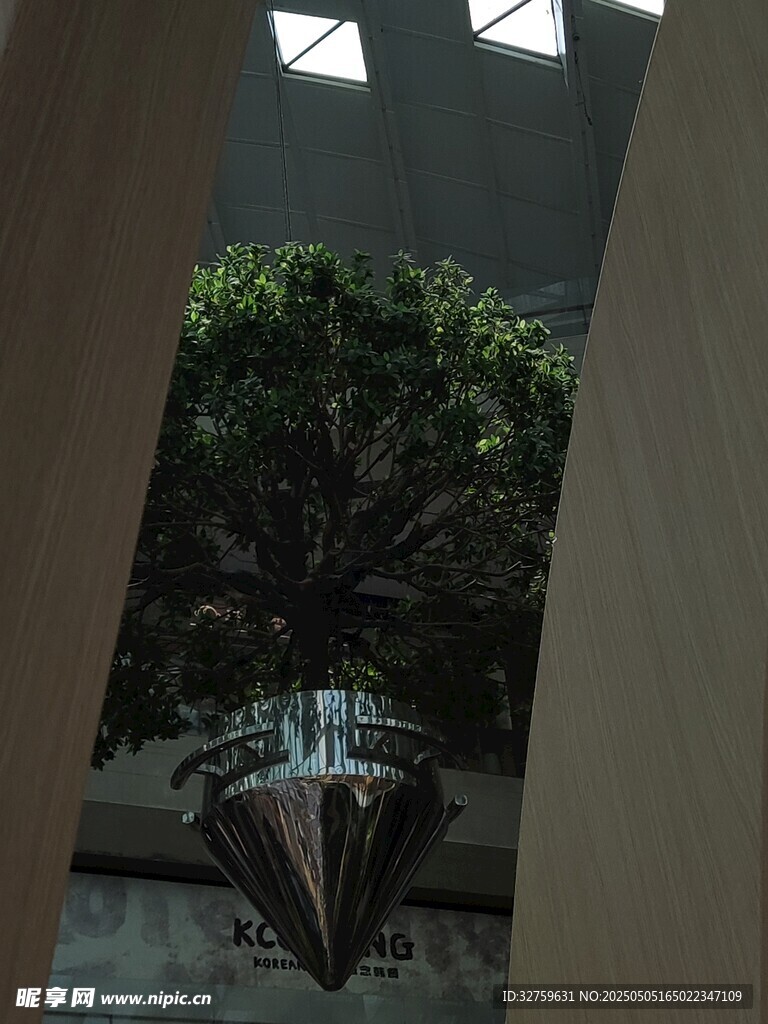  绿植