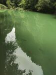 湖水