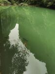 湖
