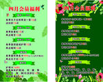 春季养生护理福利