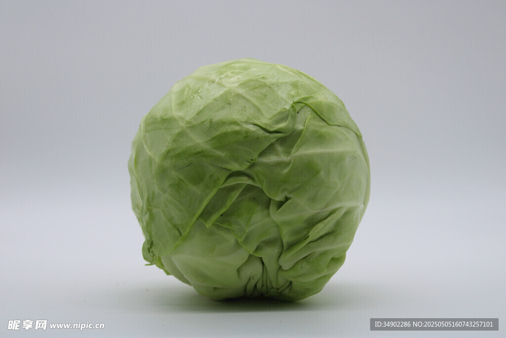 一颗新鲜的圆白菜