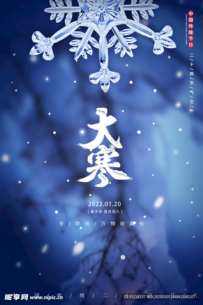 大寒节气唯美雪景海报