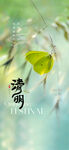 清明节
