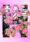 春天花卉展会宣传海报