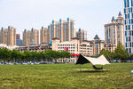 城市草地旁的现代建筑景观