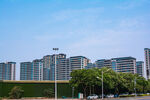 城市高楼与绿树景观