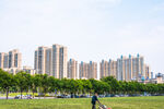 城市绿地旁的高楼景观