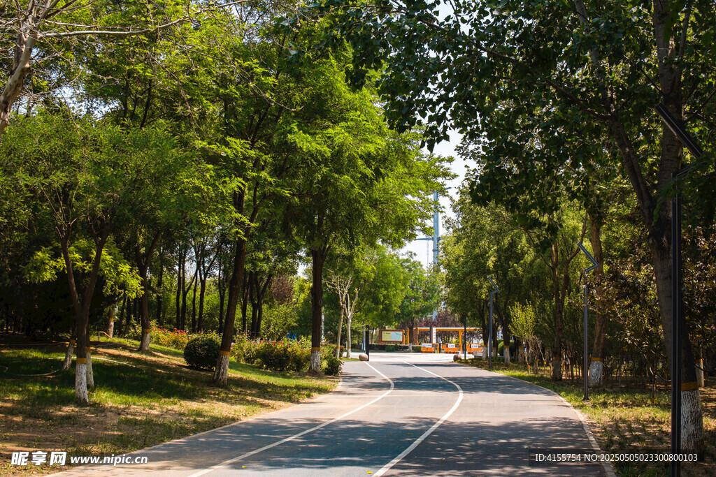 林间静谧公路风景