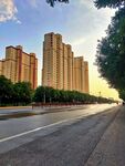 夕阳下的城市道路与高楼