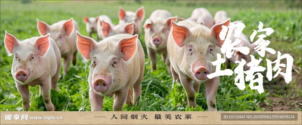 农家土猪肉
