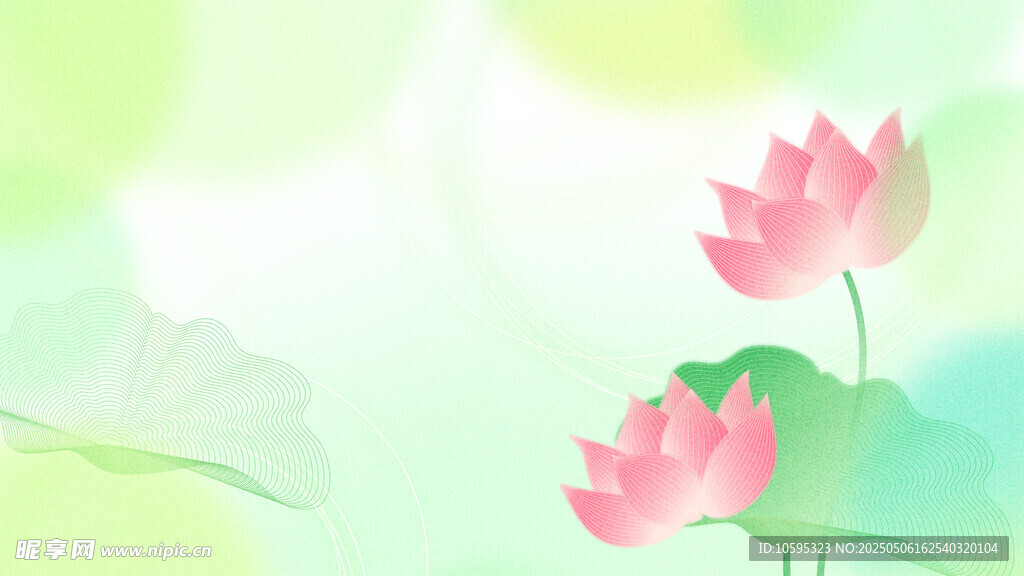 清新夏日荷花背景