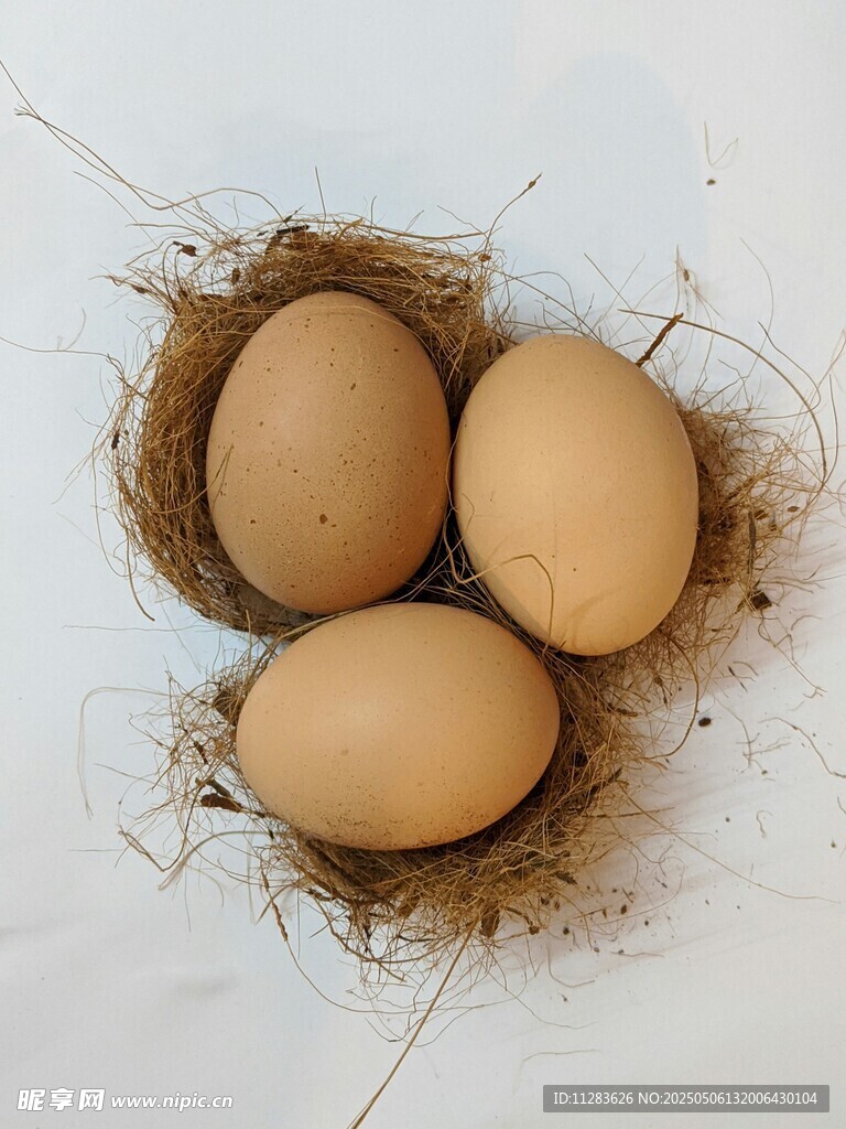 鸟巢中的三颗鸡蛋