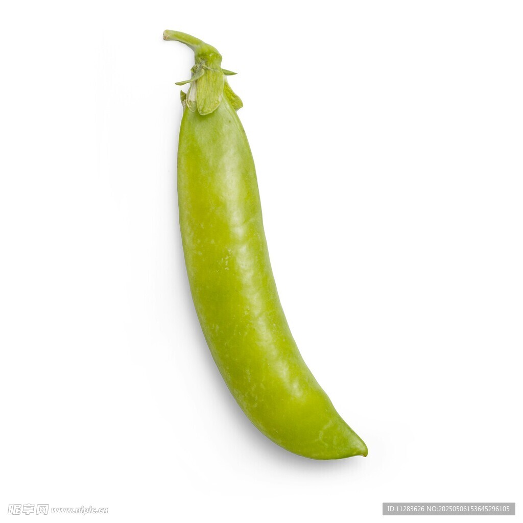 鲜绿豌豆荚