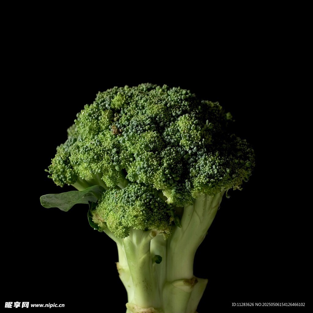 一颗新鲜的西兰花