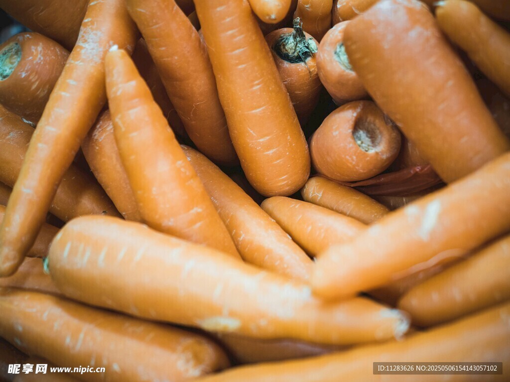 一堆新鲜胡萝卜特写