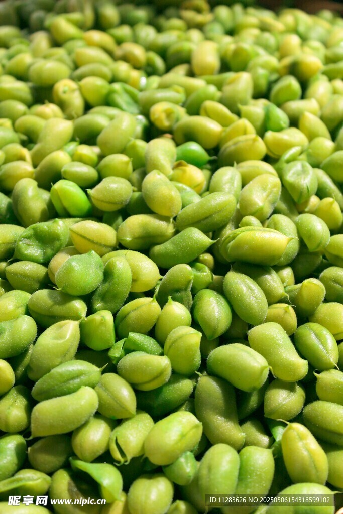 饱满鲜嫩的青蚕豆