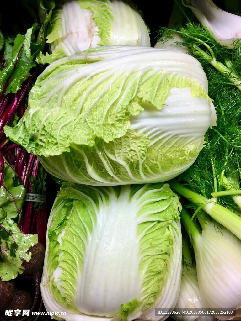 新鲜大白菜堆叠展示