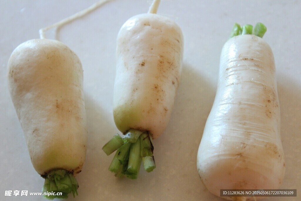 新鲜白萝卜 水灵又饱满
