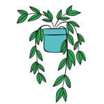 悬挂绿植盆栽插画