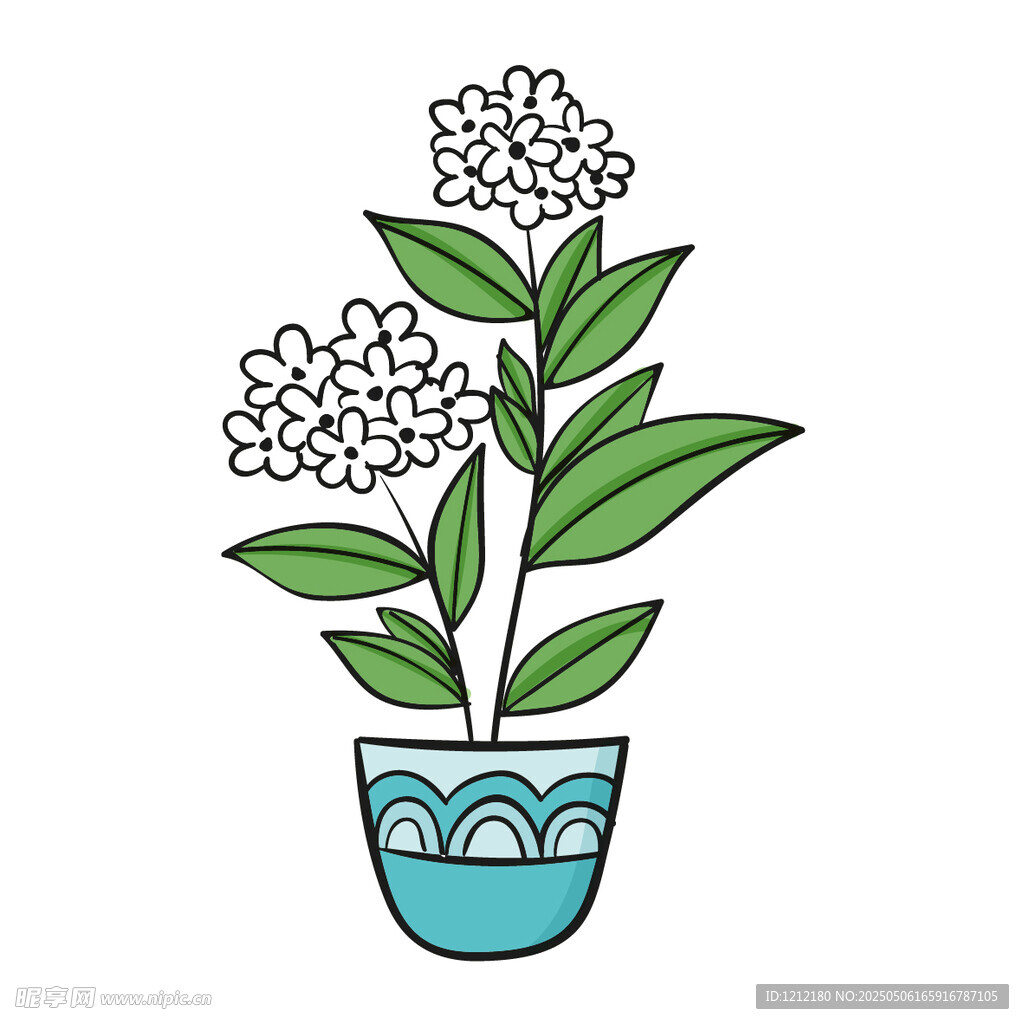 盆栽花卉插画
