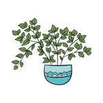 手绘盆栽绿植插画