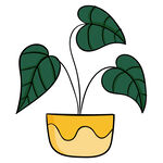 盆栽绿植插画